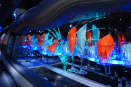 Amazing Hummer H2 Limousine Interior